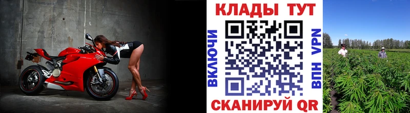 Купить закладку Новоржев Бошки Шишки А ПВП Гашиш