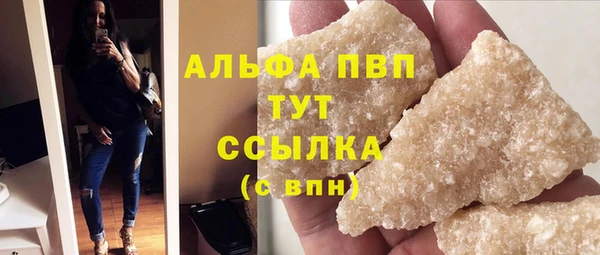 СК Гусь-Хрустальный