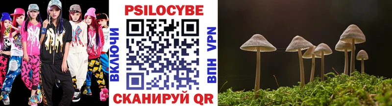 Псилоцибиновые грибы прущие грибы  дарнет шоп  Новоржев 