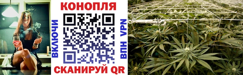Каннабис SATIVA & INDICA  дарнет шоп  Новоржев 